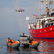 Image for article titled This Dunkable Drone Will Suck Up Whale Snot for Science